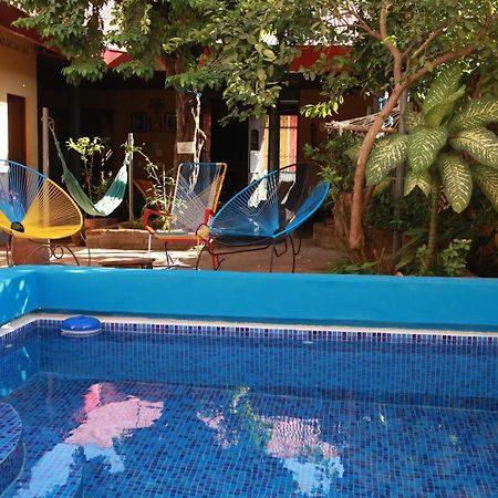 Hostal La Tortuga Booluda León Екстериор снимка